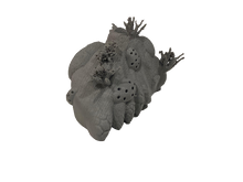 Load image into Gallery viewer, 3d-printed Coral Restoration Module (recycled plastic)
