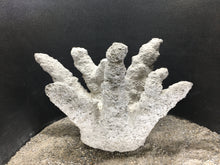 Load image into Gallery viewer, 3d-printed in sustainable concrete--classic Caribbean branching coral
