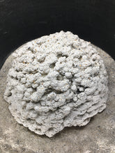Load image into Gallery viewer, 3d-printed sustainable concrete brain coral
