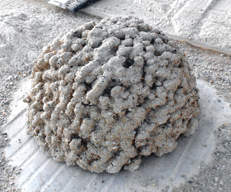 3d-printed sustainable concrete brain coral