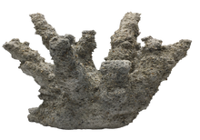 Load image into Gallery viewer, 3d-printed in sustainable concrete--classic Caribbean branching coral

